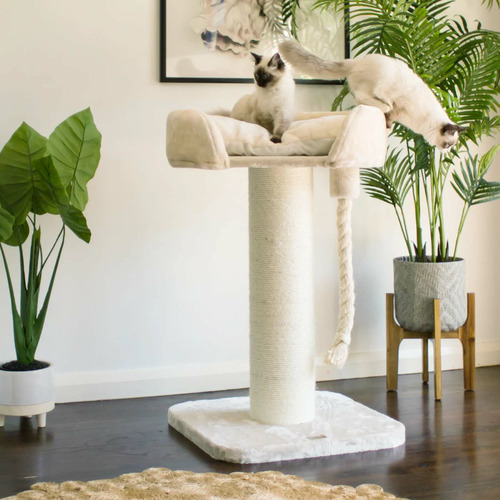 100cm Cat Scratching Post with Bed